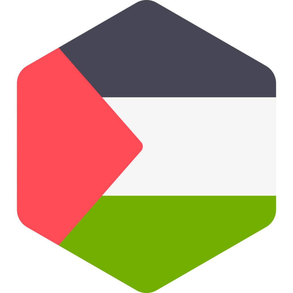 Palestine Flag hexagon shape