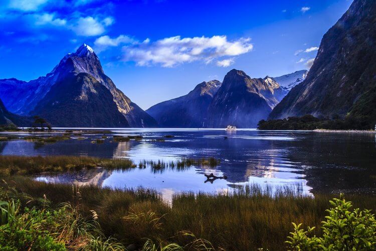 A breathtaking view of Milford Sound, New Zealand, showcasing its majestic mountains and serene waters