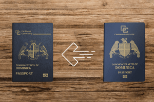Update on the Dominica Passport form
