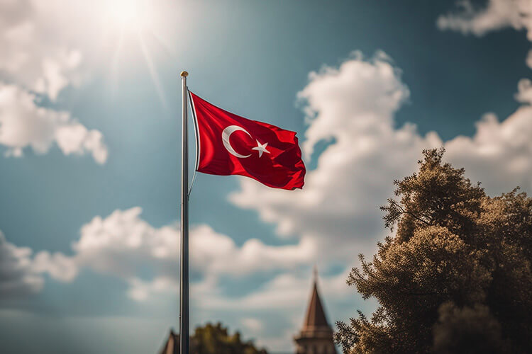 Exclusive real estate projects from Reach for obtaining Turkey citizenship